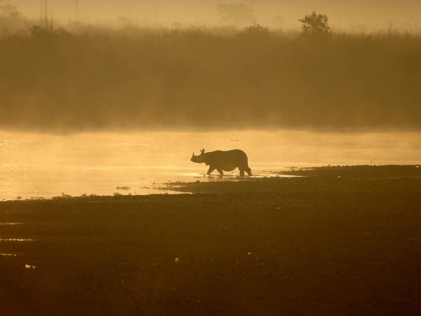 Discover Chitwan National Park